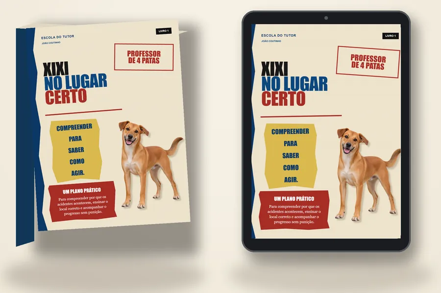 Ebook Xixi no Lugar Certo nos formatos livro e tablet